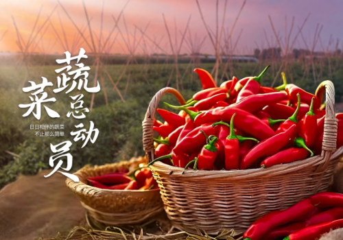 聚鑫汇娱乐 dadac