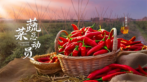 聚鑫汇娱乐 465cb